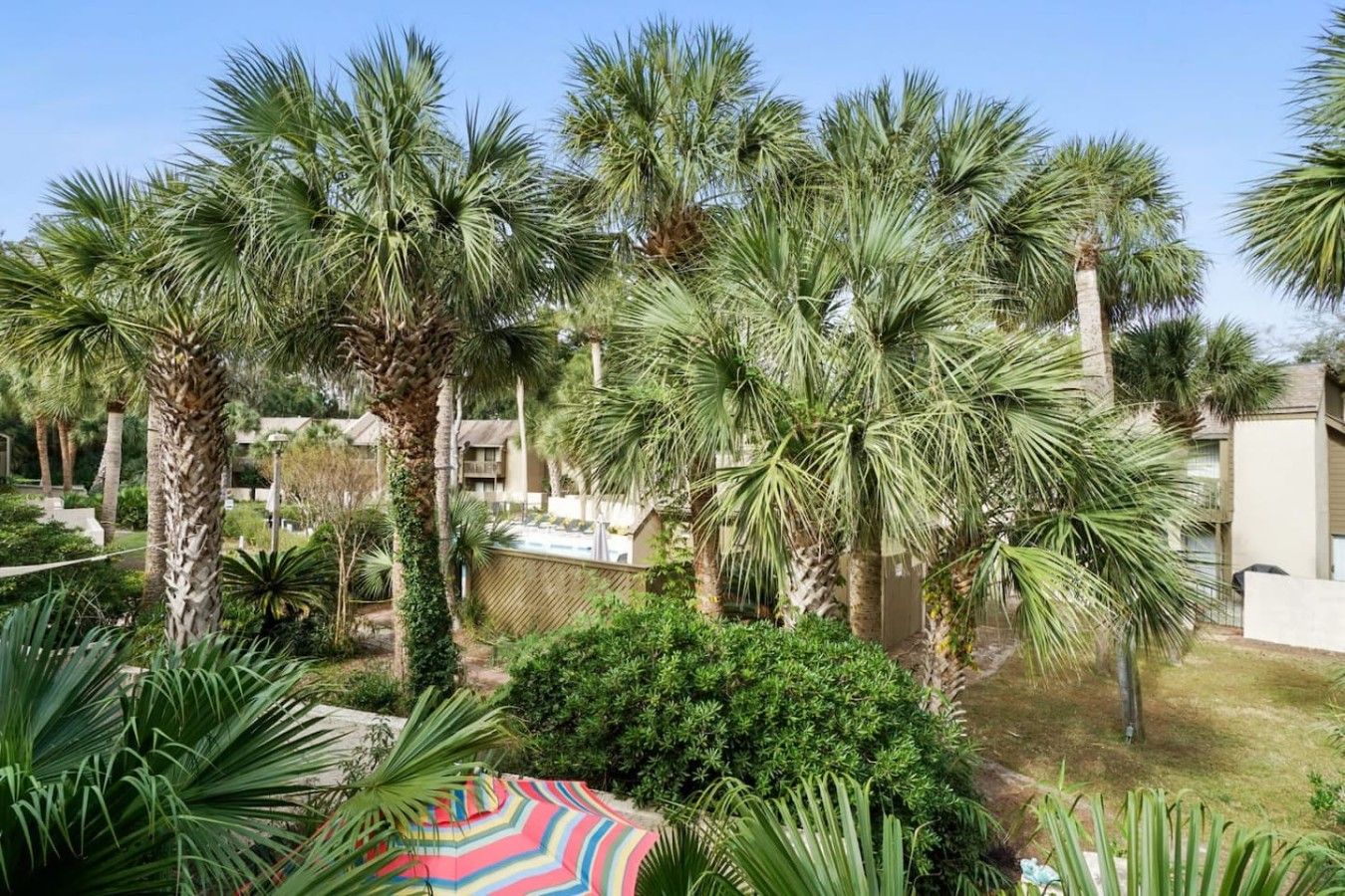 A courtyard with palm trees, a colorful umbrella, and a pool area.