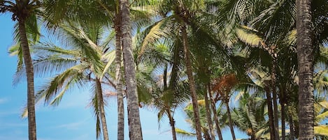 靠近海滩、沙滩毛巾