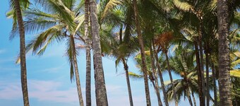 Point Break Beach House - Playa Hermosa - Jaco