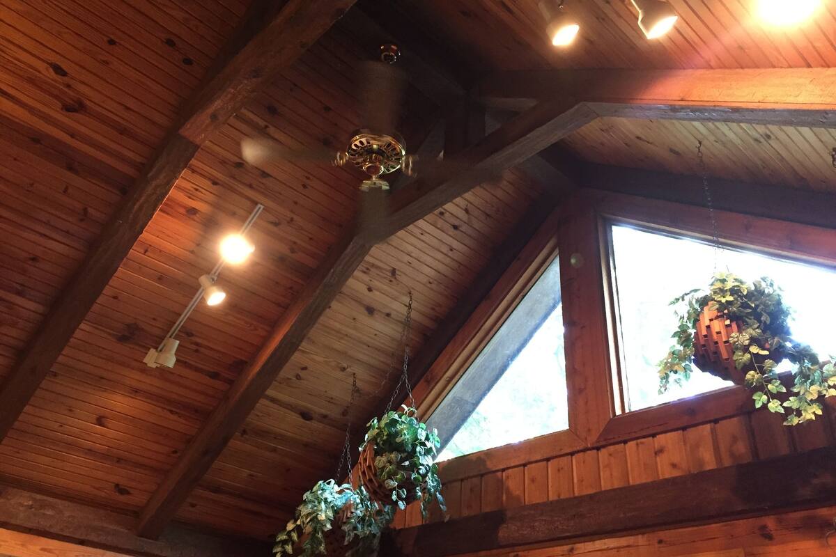 A wooden ceiling with exposed beams, hanging plants, and a window with a view of greenery outside.