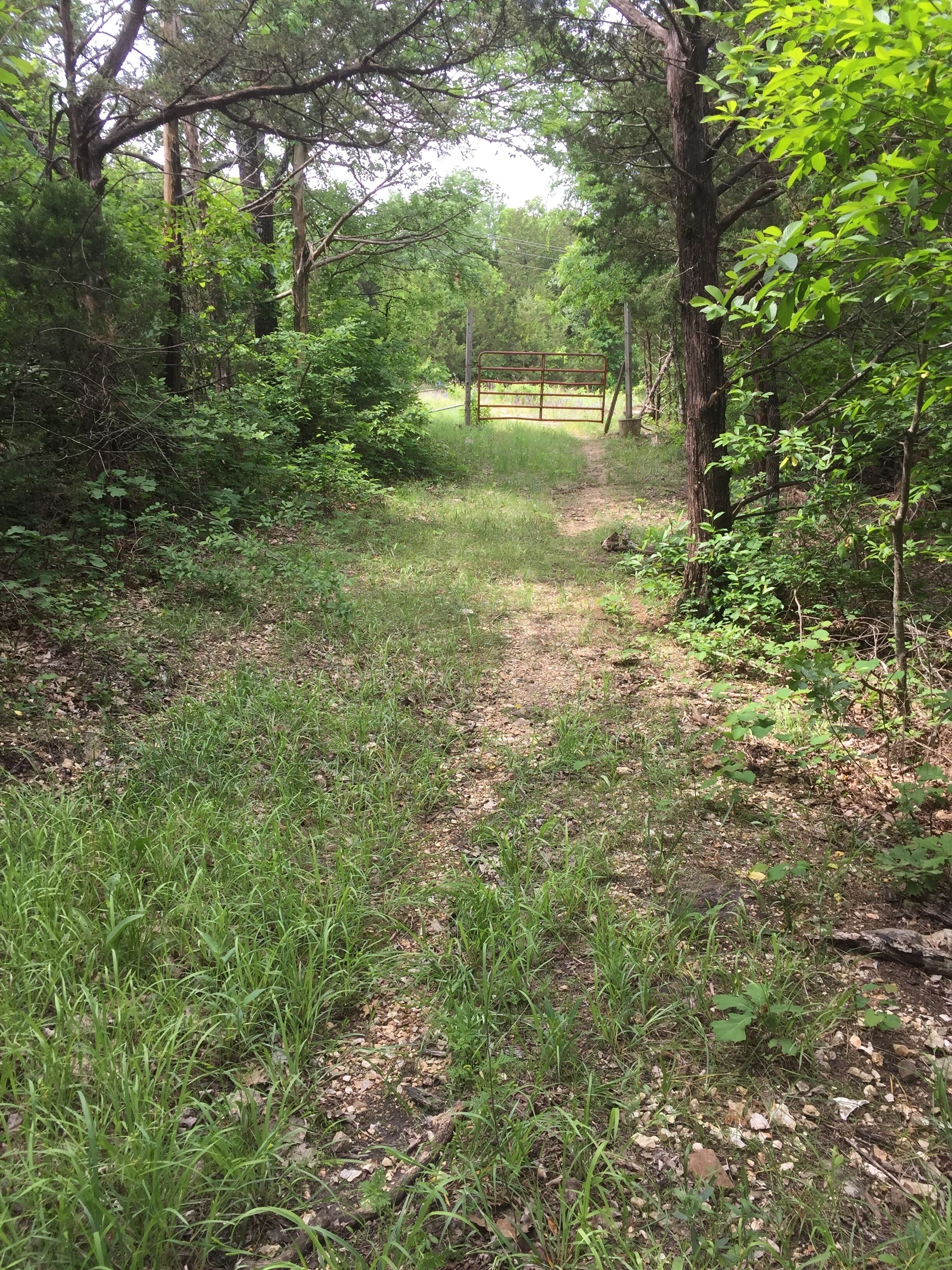 A forested path with a metal gate leading to a fenced area.