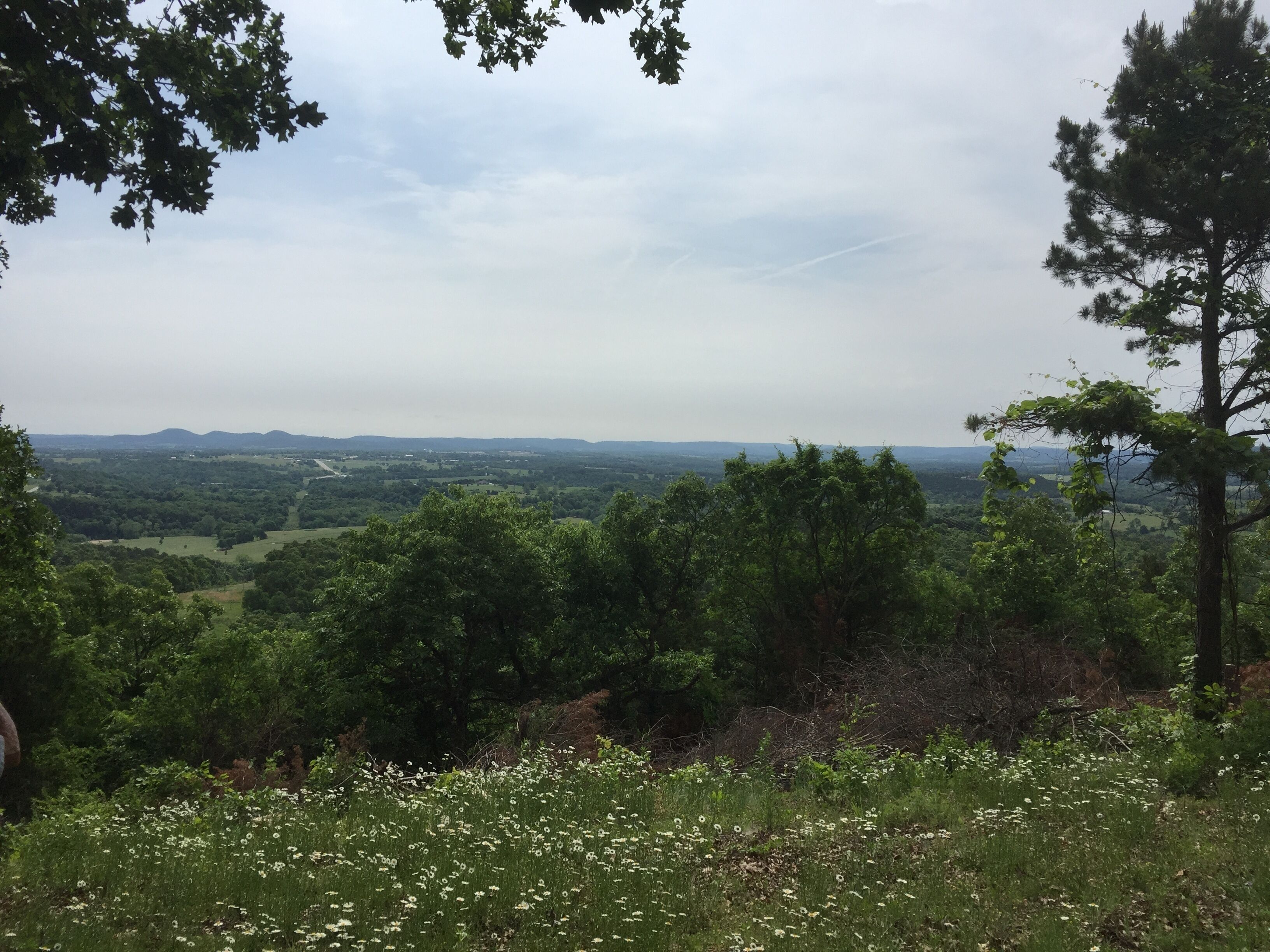 A landscape view with a valley, trees, and a distant mountain range.