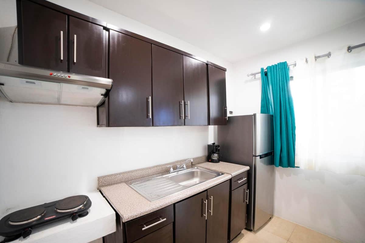 deluxe apartment, multiple beds, kitchen | private kitchen