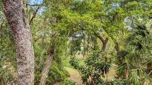 A natural landscape with a variety of trees and shrubs, a dirt path, and a clear sky. - 2519-20 Tennis Villa-Charming 2 BR in Tranquil Setting on Amelia Island Omni! (Fernandina Beach)