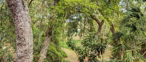 Terrain de lâhĂ©bergement
