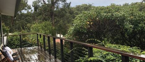 Una terraza de madera con barandilla metálica, rodeada de exuberante vegetación y árboles.