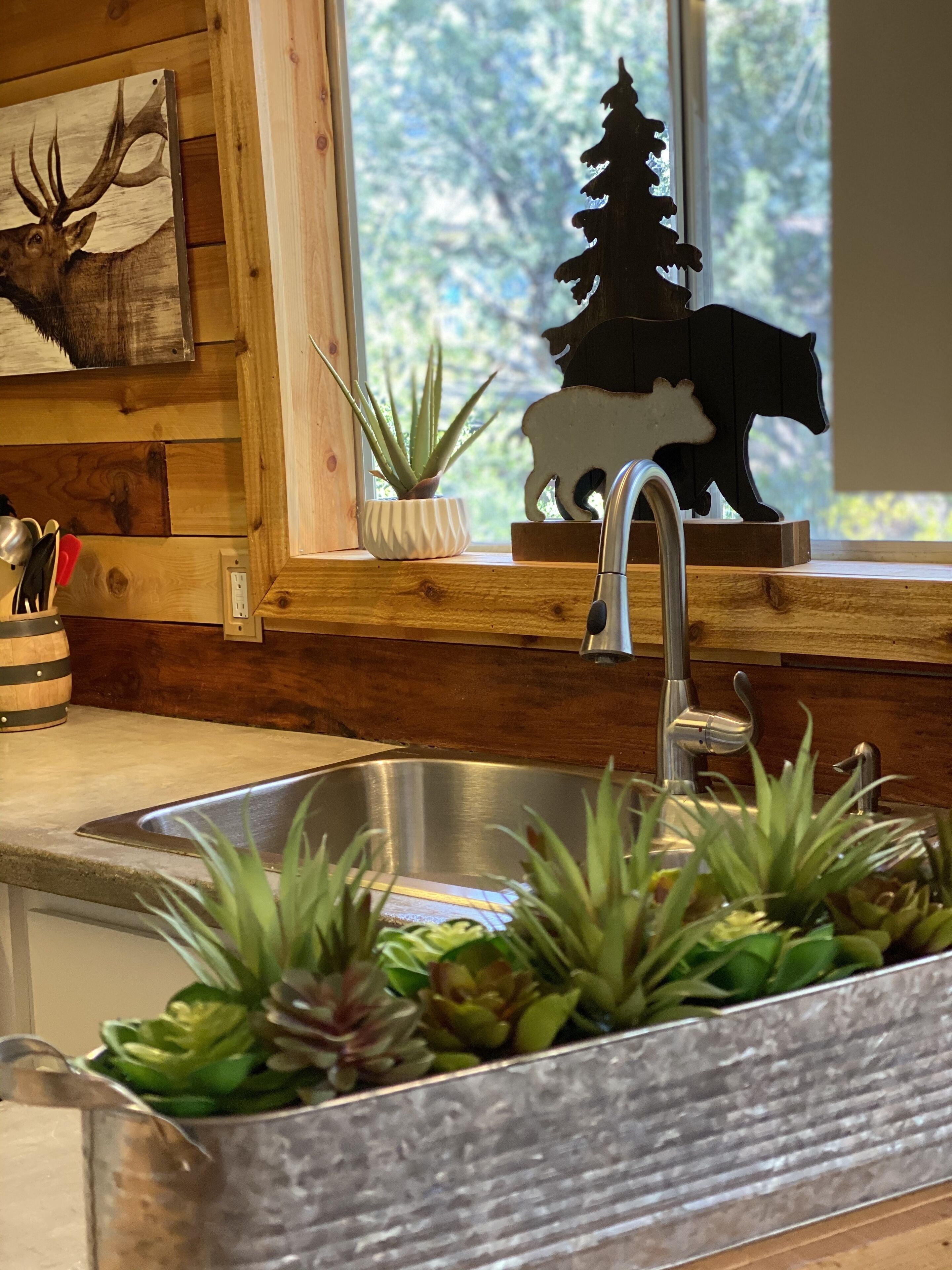 Relaxing Mountain Getaway, Rivers, Fishing, Trails, Waterfalls, Hiking, Cabin