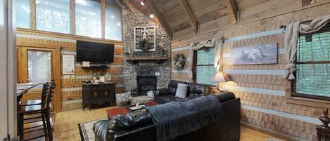 Fernseher, Kamin, Hulu, Bücher