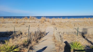 On the beach, sun-loungers
