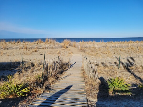 Plage, chaises longues