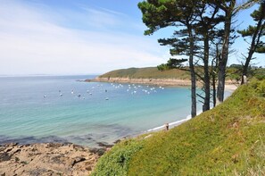 A coastal landscape with a clear view of the sea, a sandy beach, and a grassy area with pine trees.
