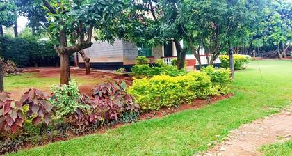 HOME with private space, a view and hiking trail