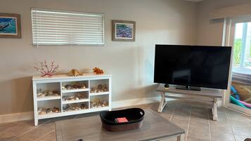Smart-TV, Bücher