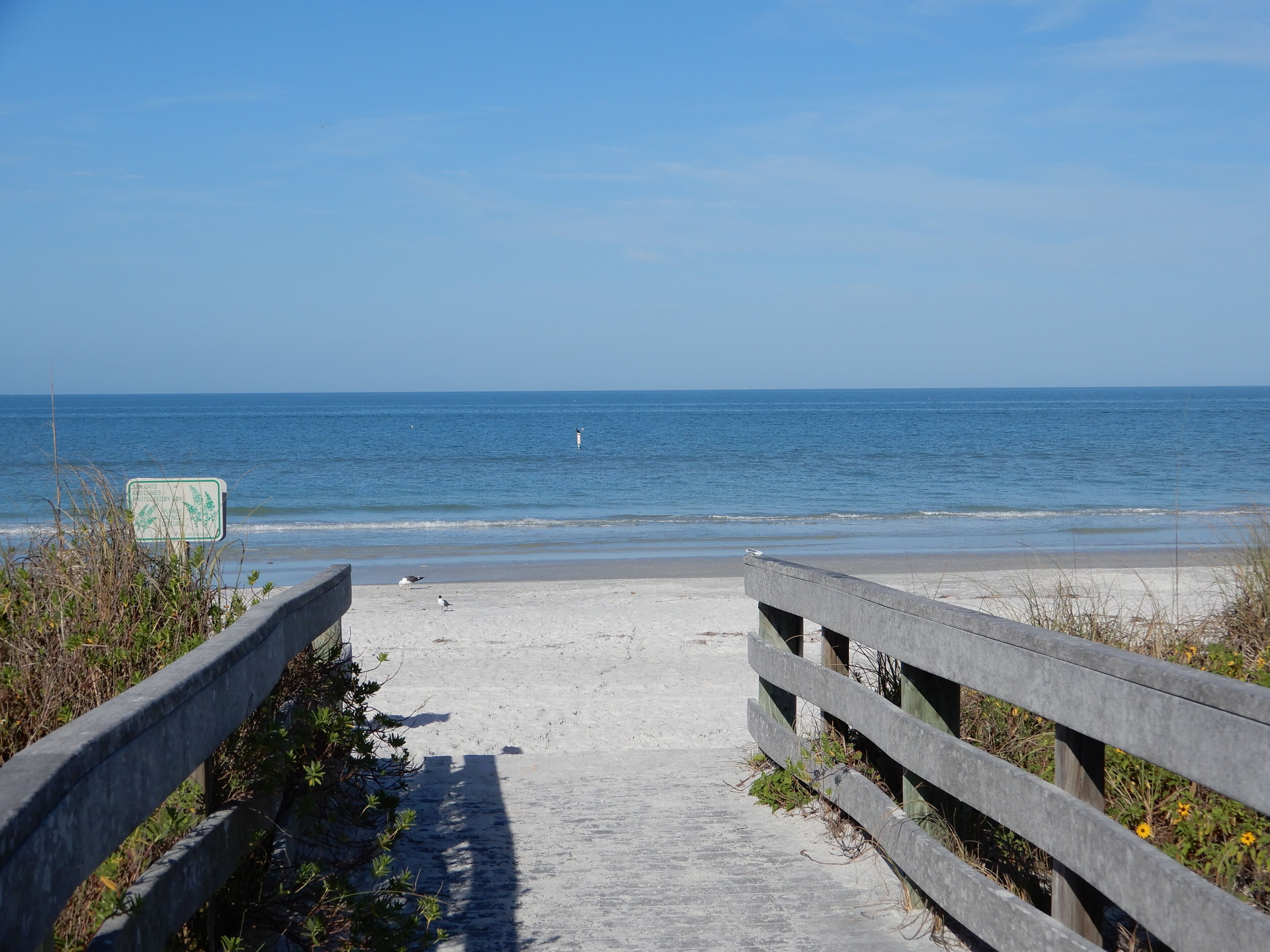 Playa en los alrededores, camastros y toallas de playa 