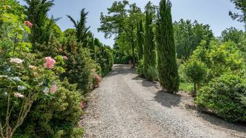 Parco della struttura