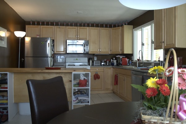 Microondas, horno, placa de cocina, lavavajillas