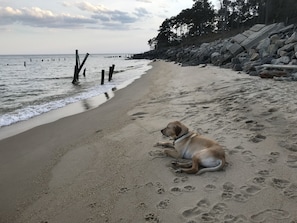 Sur la plage, chaise longue
