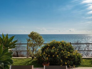 Property grounds - Stunning private villa for 6 people with WIFI, A/C, TV, terrace and pets allowed (Moiano)