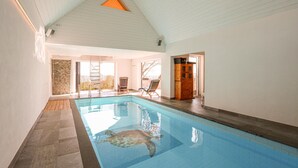 An indoor swimming pool with a clear view of a sea turtle swimming. - Awesome home in Brantevik with sauna (Brantevik)