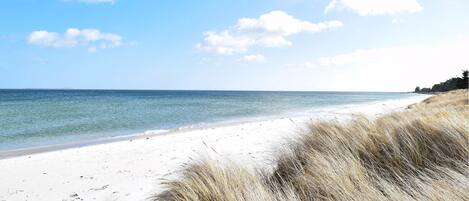 Beach nearby, fishing