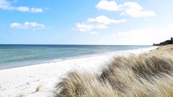 Beach nearby, fishing