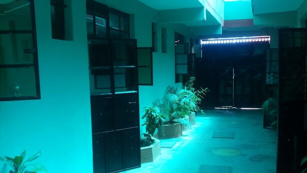 A hallway with potted plants, a black door, and a ceiling light. - Longonot Inn (Mai Mahiu)
