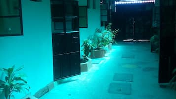A hallway with potted plants, a black door, and a ceiling light.