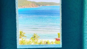 Una fotografia incorniciata di una spiaggia con acque cristalline, palme e una collina in lontananza.