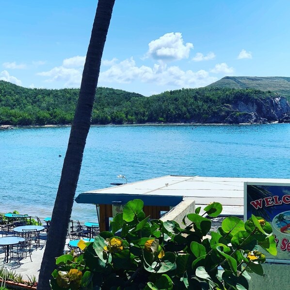 Outdoor dining - Mermaid Hideaway Regatta Point Studio Condo (St. Thomas)