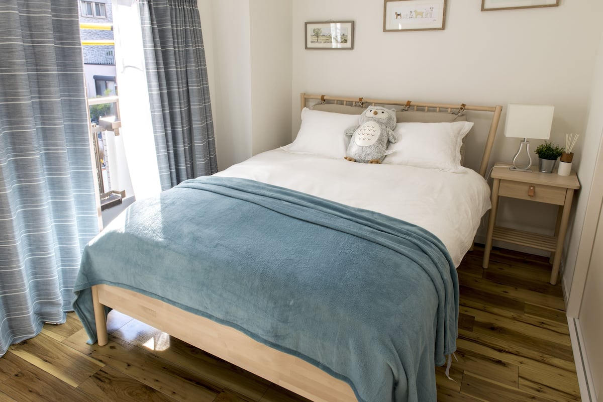 A neatly made bed with a blue blanket, a bedside lamp, and a small plant on a bedside table.