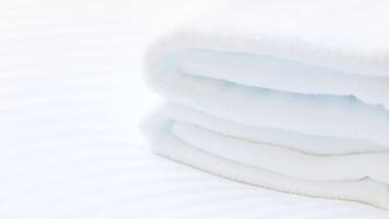 Combined shower/tub, free toiletries, hair dryer, slippers