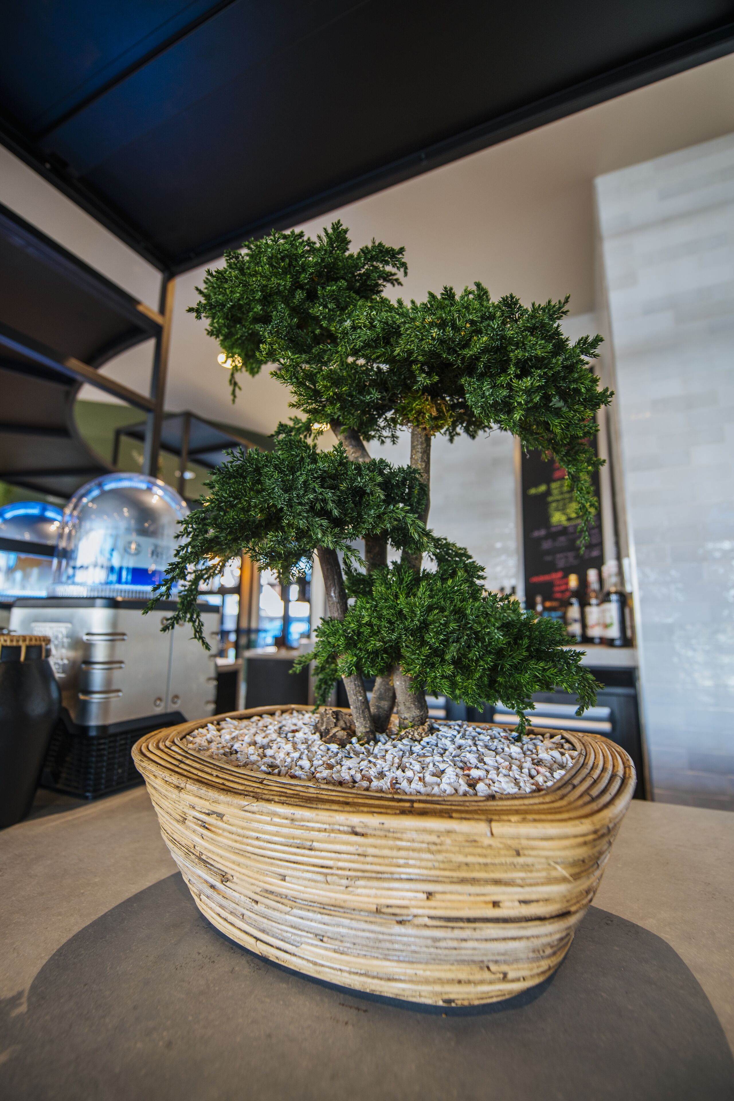 Chi tiết nội thất