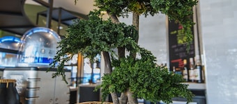 ibis budget Rouen Centre Rive Gauche