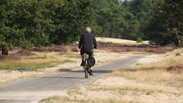 En person som cyklar på en asfalterad stig, omgiven av torrt gräs och träd.