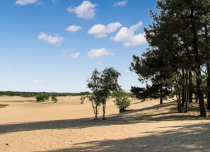 ชาเลท์ | วิวจากที่พัก