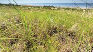Een gazon met uitzicht op het strand en de oceaan.