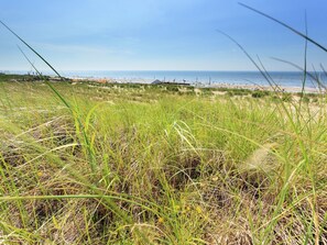 View from property - Comfortable Chalet With Dishwasher in Noordwijk near the Sea (Noordwijk)