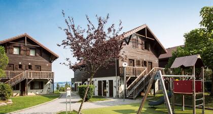 Apartment in Evian With Lake Geneva View