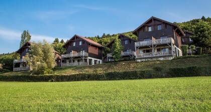 Apartment in Evian With Lake Geneva View