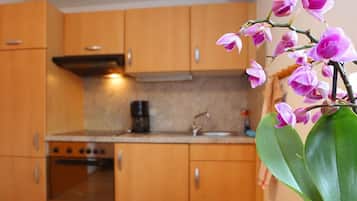 Apartemen | Dapur pribadi | Kursi makan untuk bayi