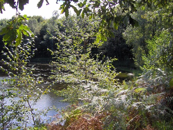 Chalet | Property grounds - Wooden Chalet With a Washer, Near a Lake (Le Syndicat)
