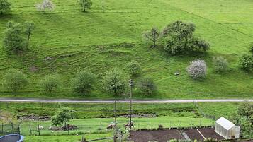 House | View from property