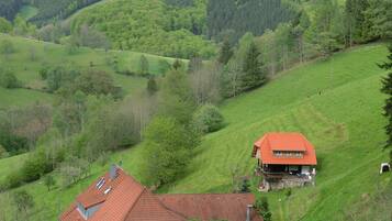 House | View from property