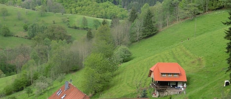 House | View from property