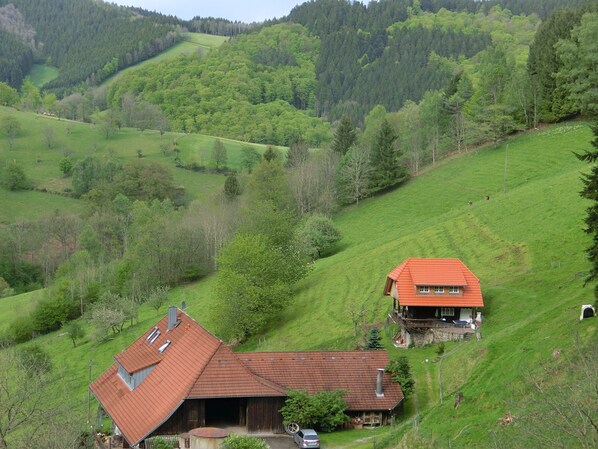 View from property - Ferienhaus, Muhlenbach (Muehlenbach)