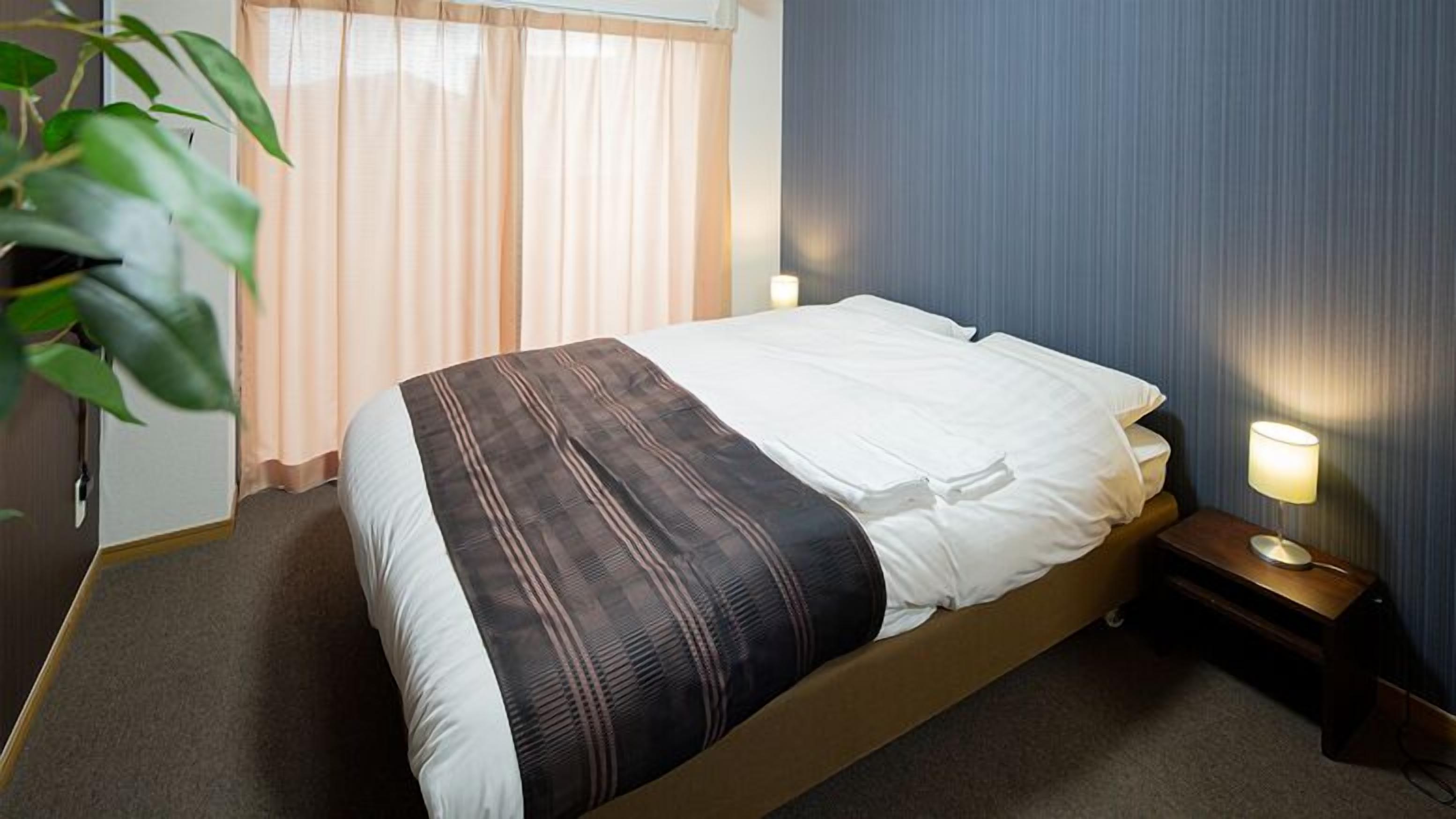 A hotel room with a bed, a bedside table with a lamp, a window with curtains, and a plant.