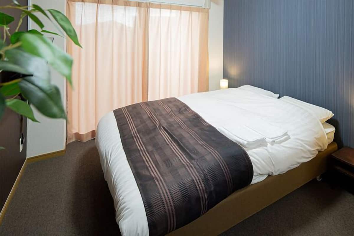 A hotel room with a bed, a bedside table with a lamp, a window with curtains, and a plant.