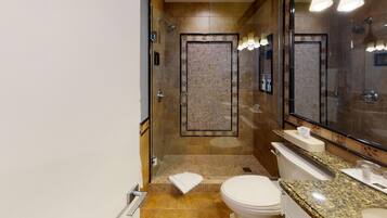 Combined shower/tub, hair dryer