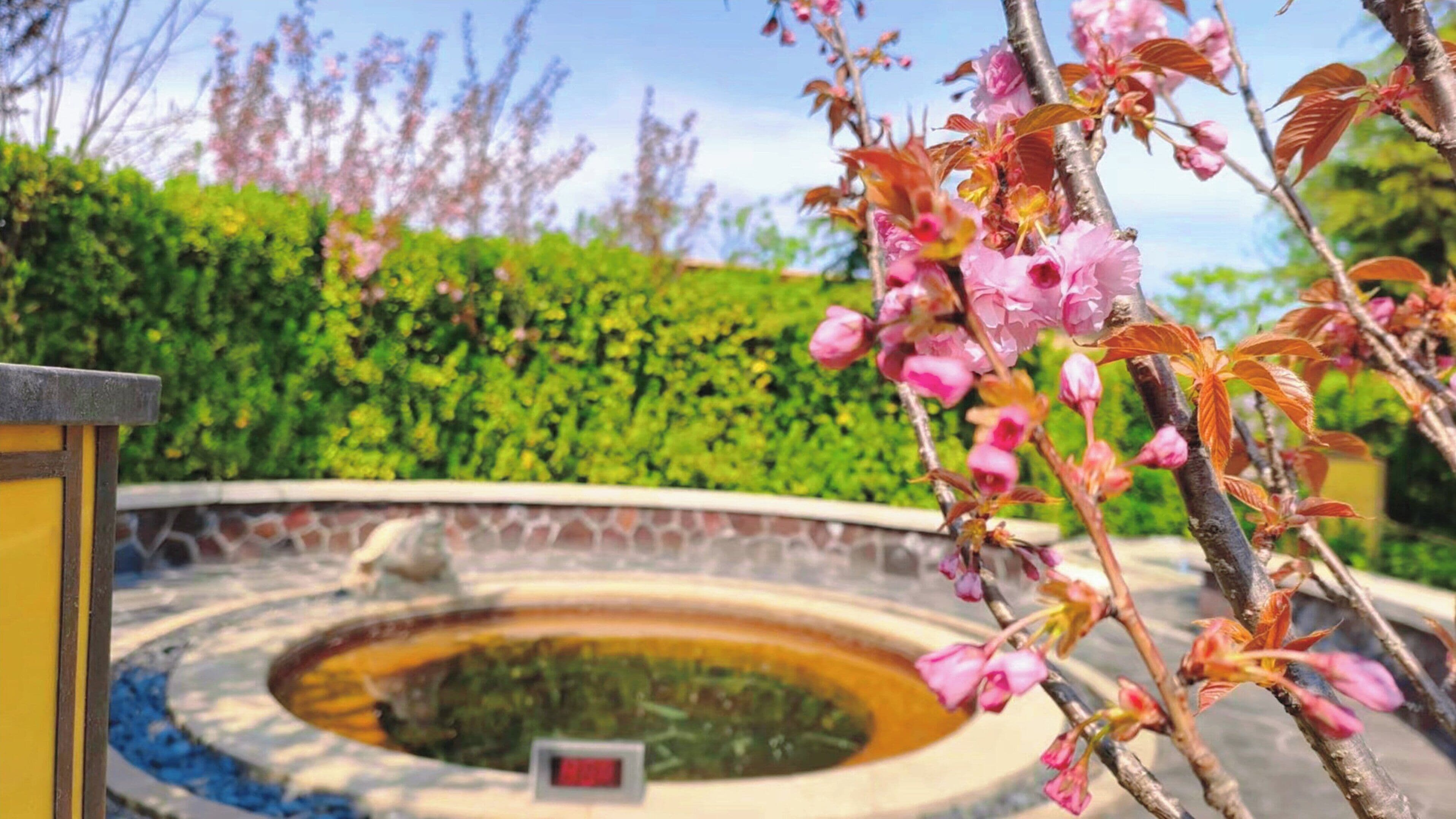 Une fontaine circulaire bordée de pierres, entourée d’un bâtiment jaune et d’une haie verte.