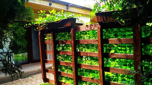 A wooden trellis with climbing plants. - ATRIUM Guesthouse (Riga)